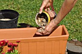 Preparation and planting of a window flower box