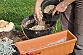 Preparation and planting of a window flower box