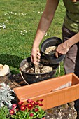 Preparation and planting of a window flower box