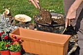 Preparation and planting of a window flower box