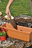 Preparation and planting of a window flower box