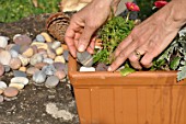 Preparation and planting of a window flower box