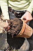 Cleaning of pots in a garden