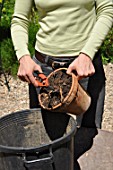 Cleaning of pots in a garden