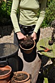 Cleaning of pots in a garden