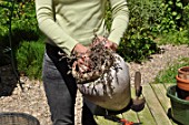 Cleaning of pots in a garden