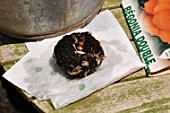 Planting of a Begonia bulb in a pot