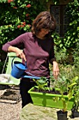 Planting vegetables in a window box