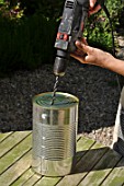 Planting of chili pepper in a repurposed tin can