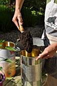 Planting of chili pepper in a repurposed tin can