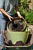 Sieving of an old substrate soil