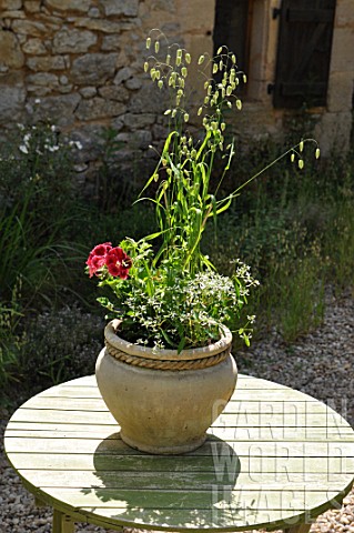 Staked_mixed_flowers_and_grass_in_container