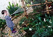 Child watering a garden