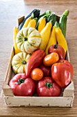 Vegetables harvested from the vegetable garden