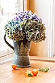 Dried Hydrangeas bouquet and Physalis