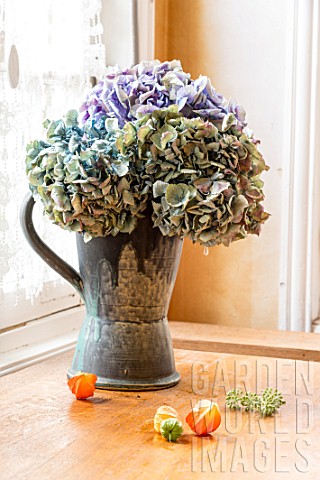 Dried_Hydrangeas_bouquet_and_Physalis