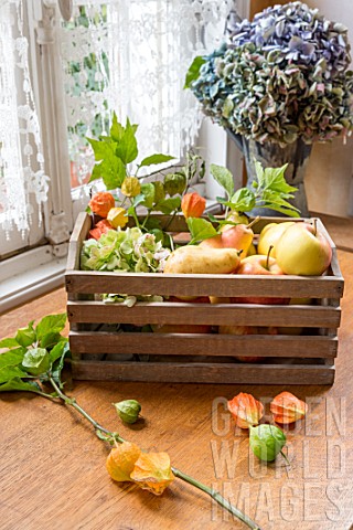 Apples_Pears_and_Physalis_in_a_wooden_box