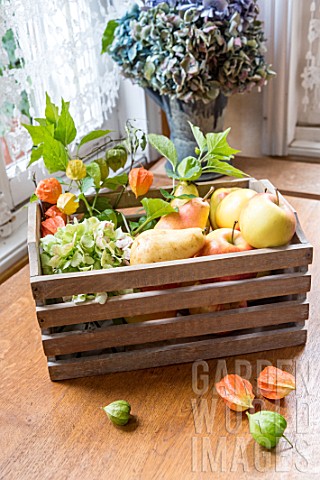 Apples_Pears_and_Physalis_in_a_wooden_box
