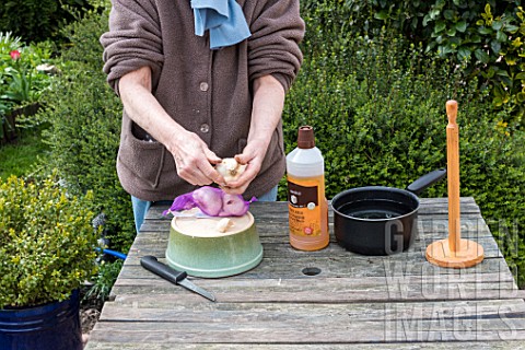 Making_of_organic_insectide_with_black_soap_and_garlic