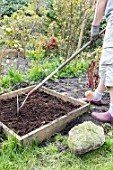 Planting of strawberry plants in a square garden