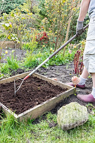 Planting_of_strawberry_plants_in_a_square_garden