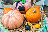 Painted pumpkins for Halloween