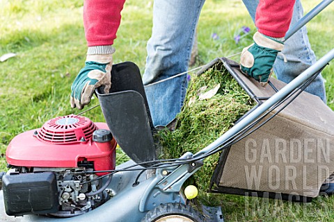 Emptying_of_a_lawn_mower_grass_collection_box