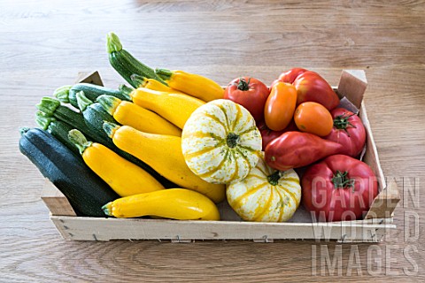 Vegetable_garden_harvest