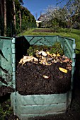 Garden composter showing woodlice (Oniscidea) and compost worms (Eisenia fetida)