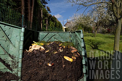 Garden_composter_showing_woodlice_Oniscidea_and_compost_worms_Eisenia_fetida