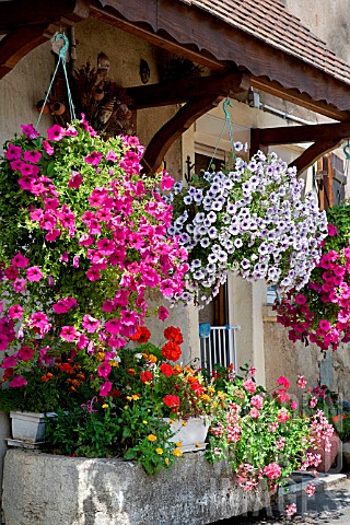 Flowering_hanging_baskets_and_ornate_house_Alsace_France
