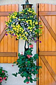 Detail of garden flowers and ornate house, Alsace, France