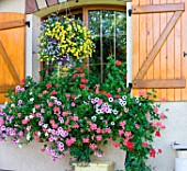 Flowering hanging baskets and ornate house, Alsace, France