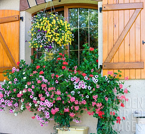 Flowering_hanging_baskets_and_ornate_house_Alsace_France