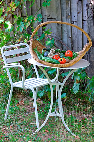 Seasonal_vegetables_courgettes_cucumbers_tomatoes_on_a_table_in_a_basket_in_the_countryside_Dordogne