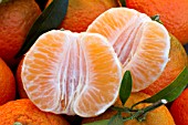 Citrus Oronules (Clementine)