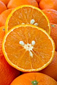 Citrus Ortanique (ClemenGold / Tangors Mandarine )