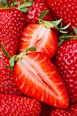 Strawberry Ronde Lou Castet