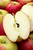 Apple Scifresh (Jazz Apple)