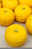 Citrus junos Yuzu, Japanese lemon X Citrus ichangensis