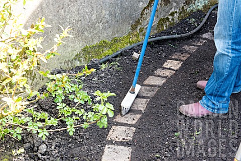 Sowing_a_lawn_on_a_garden_path