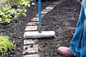 Sowing a lawn on a garden path