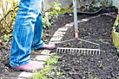 Sowing a lawn on a garden path