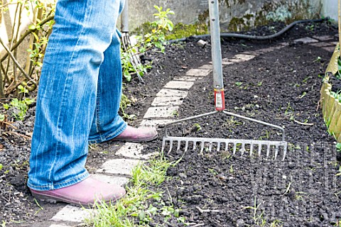 Sowing_a_lawn_on_a_garden_path