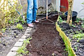 Sowing a lawn on a garden path