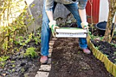 Sowing a lawn on a garden path