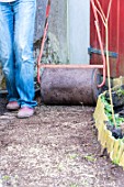 Sowing a lawn on a garden path