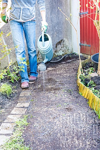 Sowing_a_lawn_on_a_garden_path