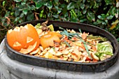 Halloween pumpkin decoration for composting