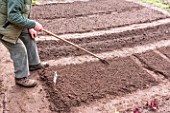 Preparing the kitchen garden soil before sowing